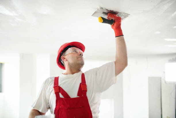 Best Water-Damaged Drywall Repair  in Ellsworth, WI